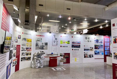 專業(yè)會(huì)展策劃服務(wù) 安徽斯百德一站式展會(huì)展覽解決方案與企業(yè)形象設(shè)計(jì)